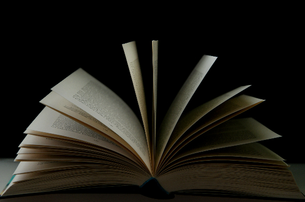 A book, its pages fluttering open.
